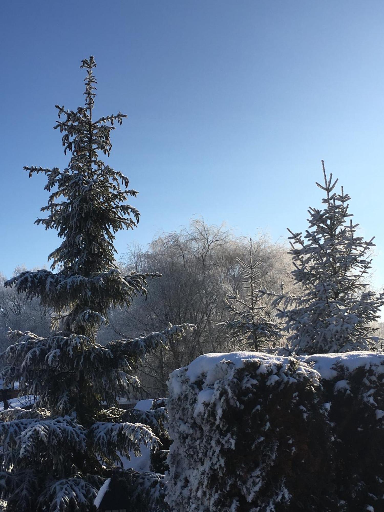 Фільварок Кмитів Velyki Kosharishcha Exterior foto